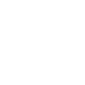 twitter icon